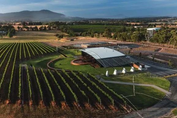 Leventine Hill Winery